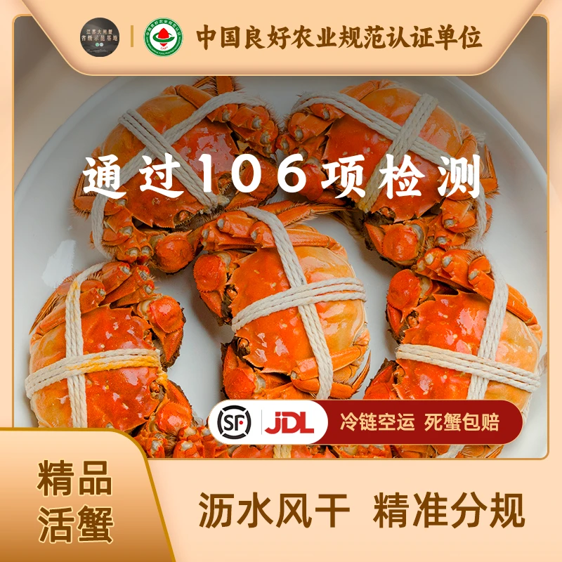 【出口活蟹】大闸蟹公蟹4.1-3.8两母蟹3.1-2.8两 6只/8只 顺丰/京东