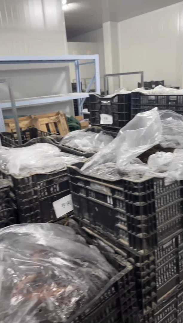 花**忧29.9  亨利  花亦无忧