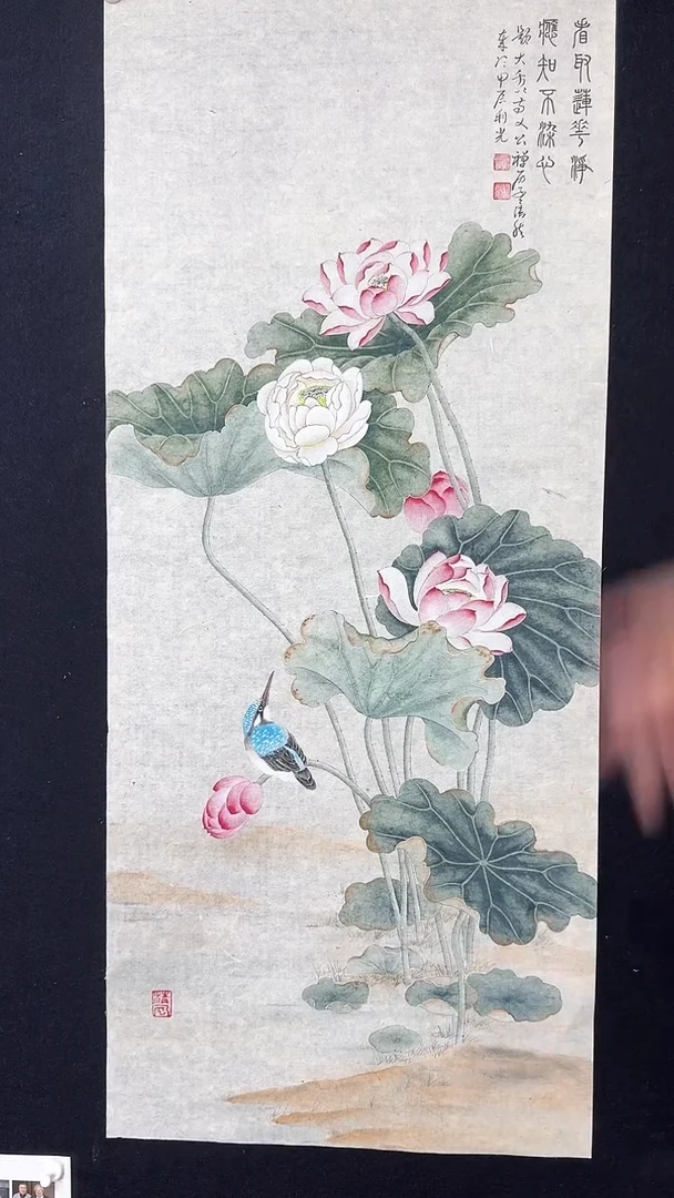 【闪购商品】国画工笔花鸟莲花