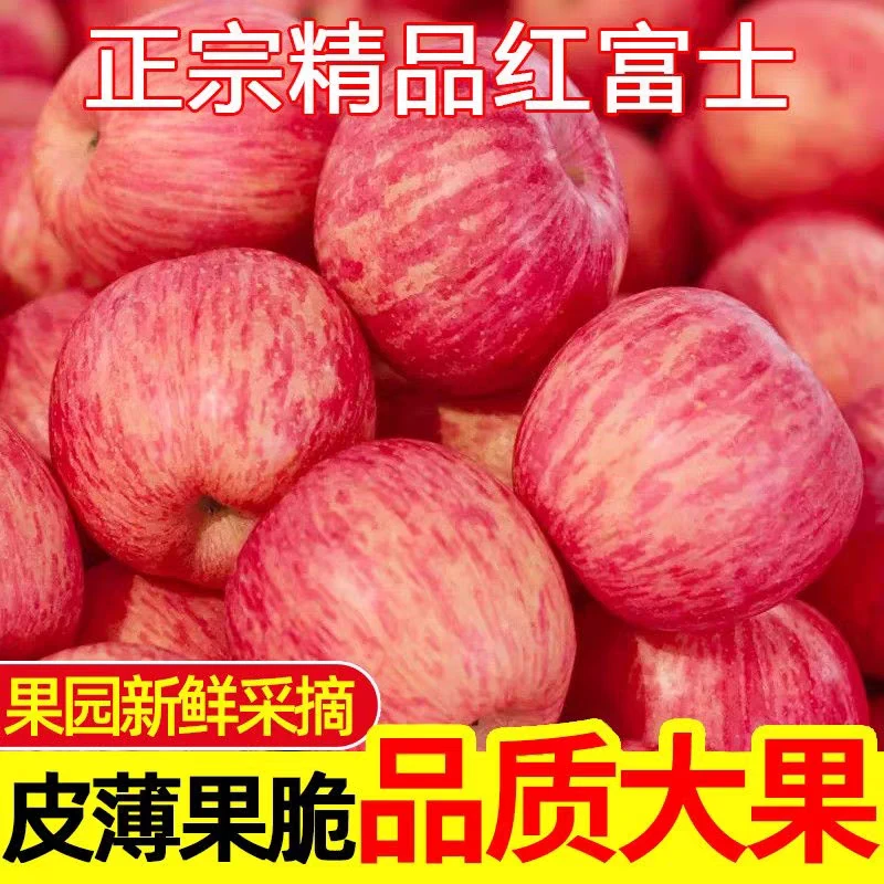 正宗云南高山红富士苹果脆甜多汁红富士苹果当季新鲜水果批发