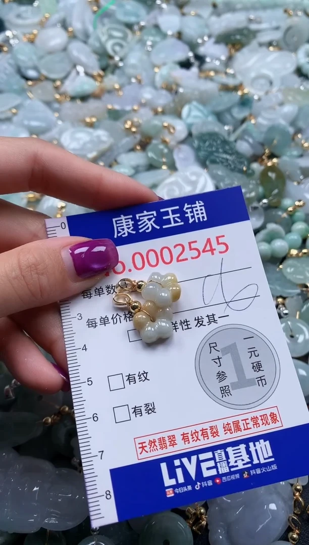 颈饰未镶嵌翡翠2425