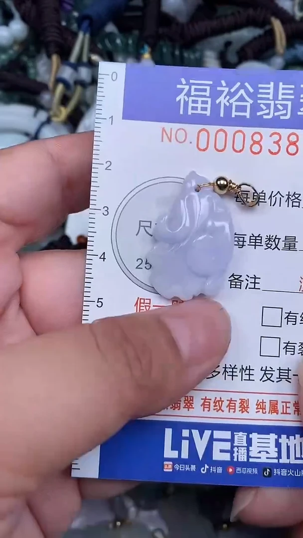 颈饰未镶嵌翡翠...0008386