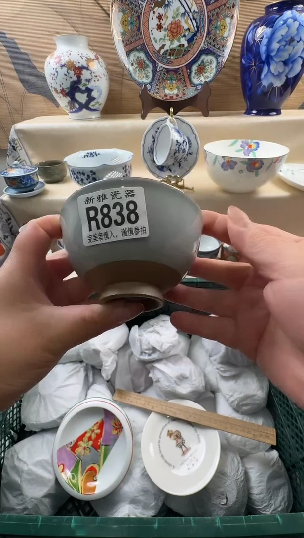 瓷片左****1           R838