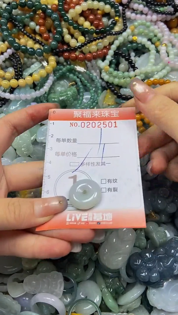 翡翠未镶嵌颈饰闪购0202501多样性发其一