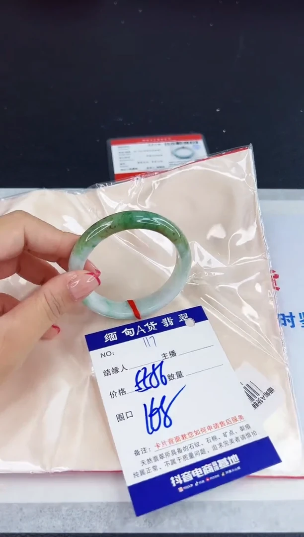 未镶嵌手镯翡翠111111