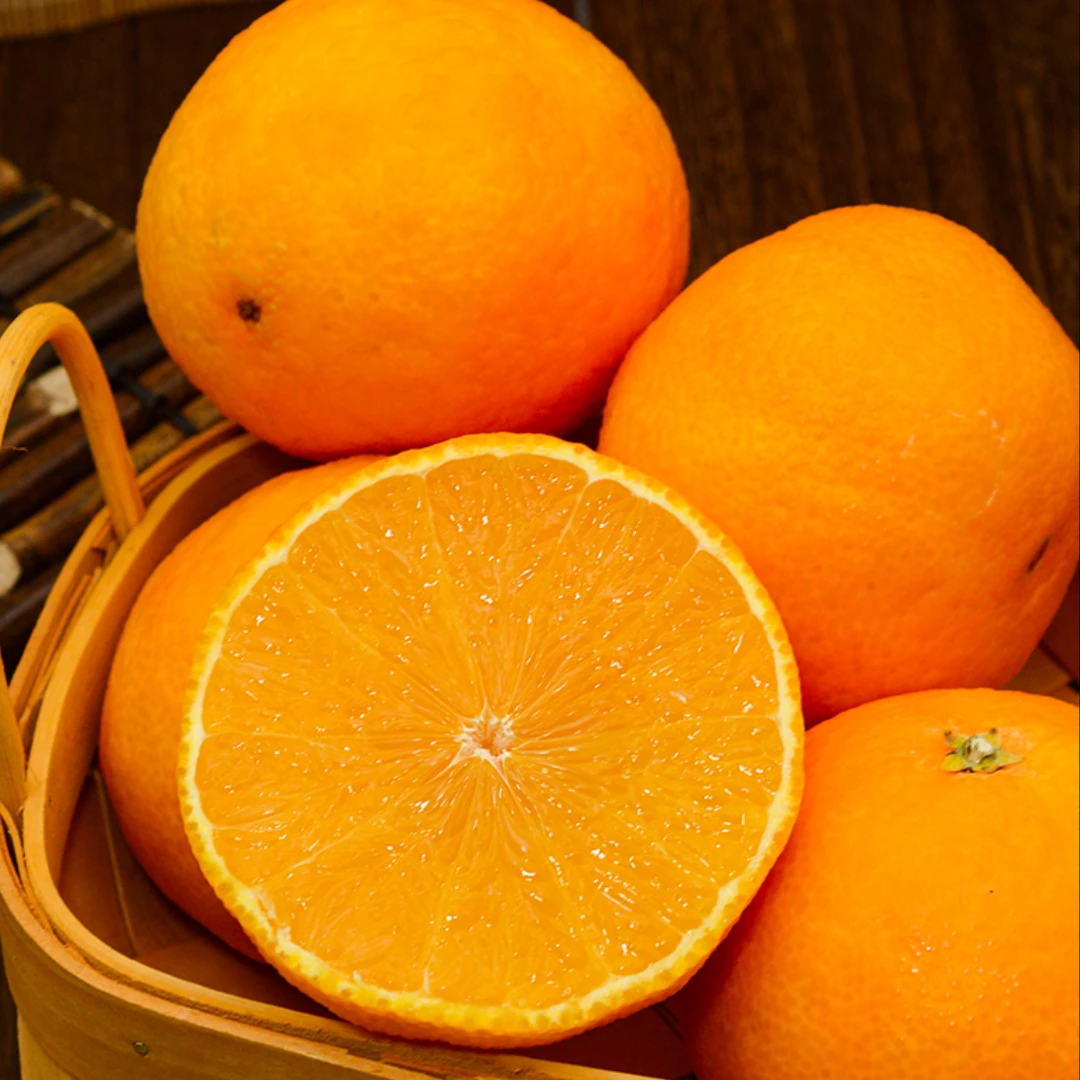 象山红美人果冻橙