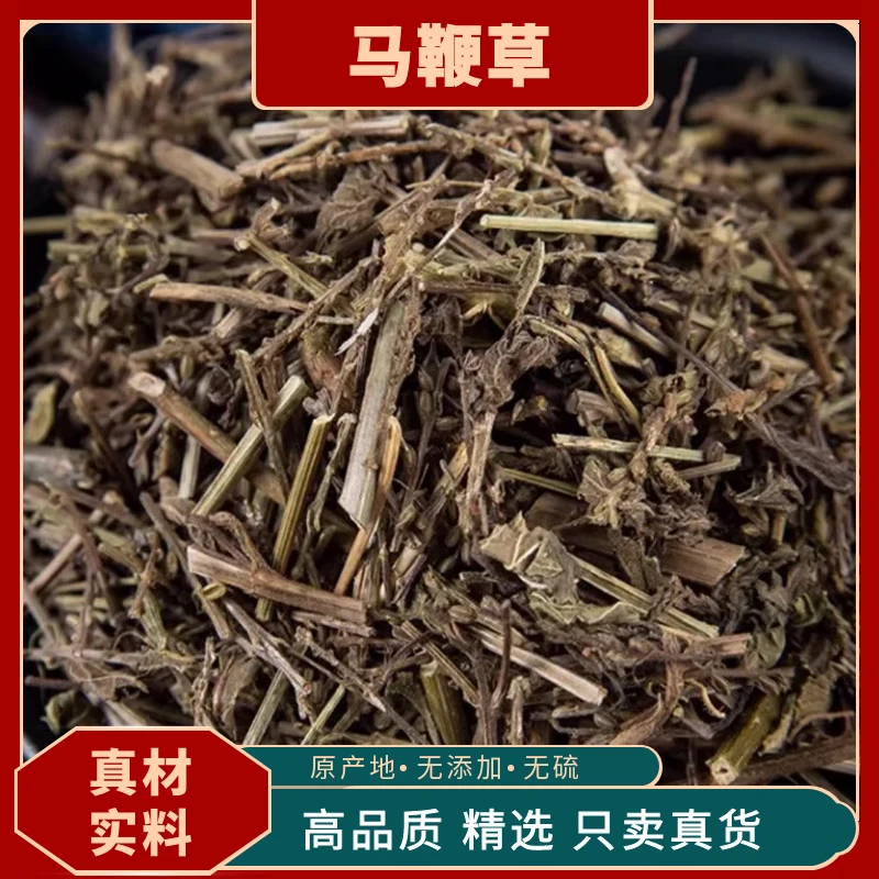 马鞭草新鲜干货野生中药材马鞭草铁马鞭马边草马边草马鞭梢原料