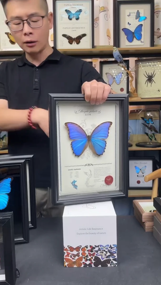 晶闪蝶A4相框豪华版