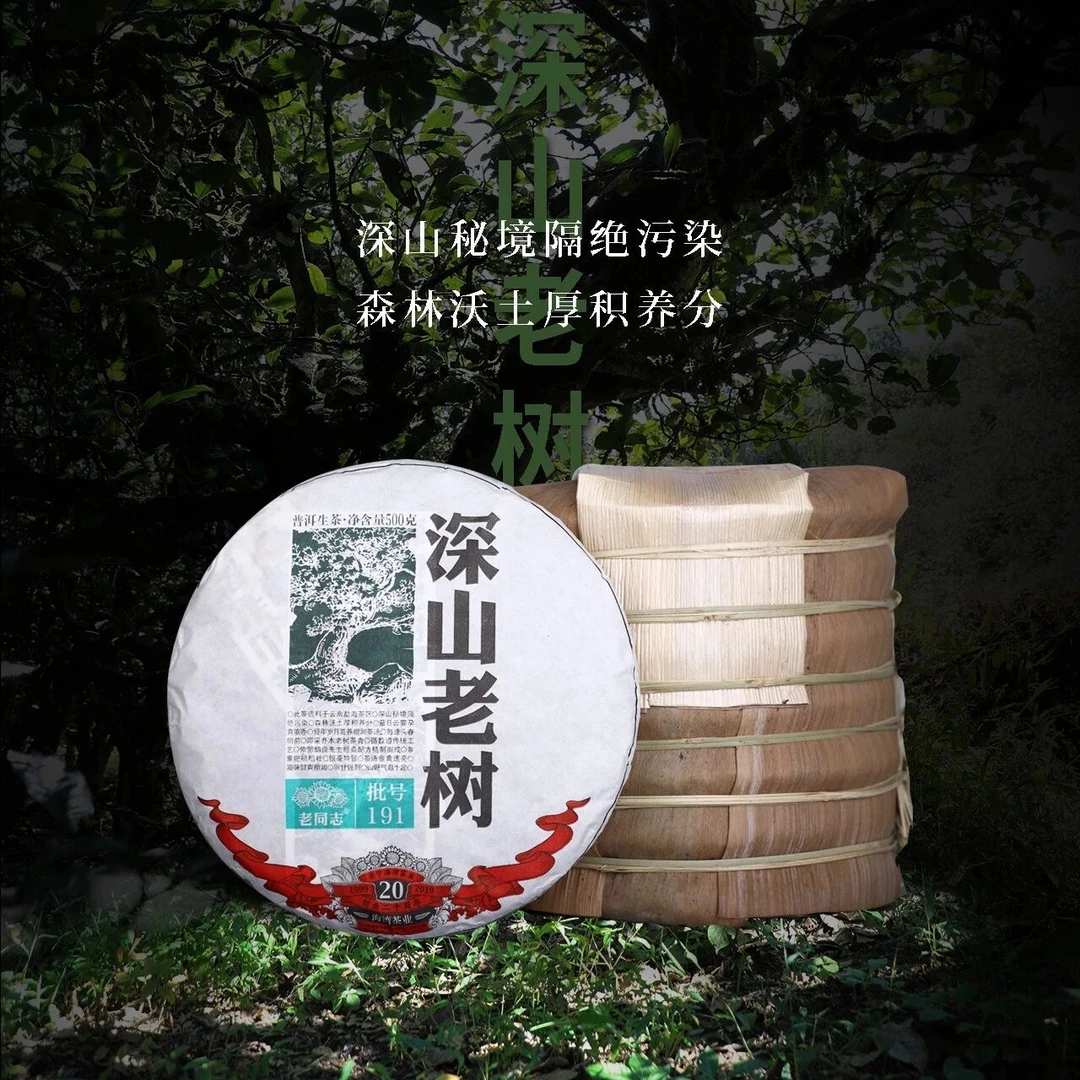 深山老树普洱生茶500克大饼2019年