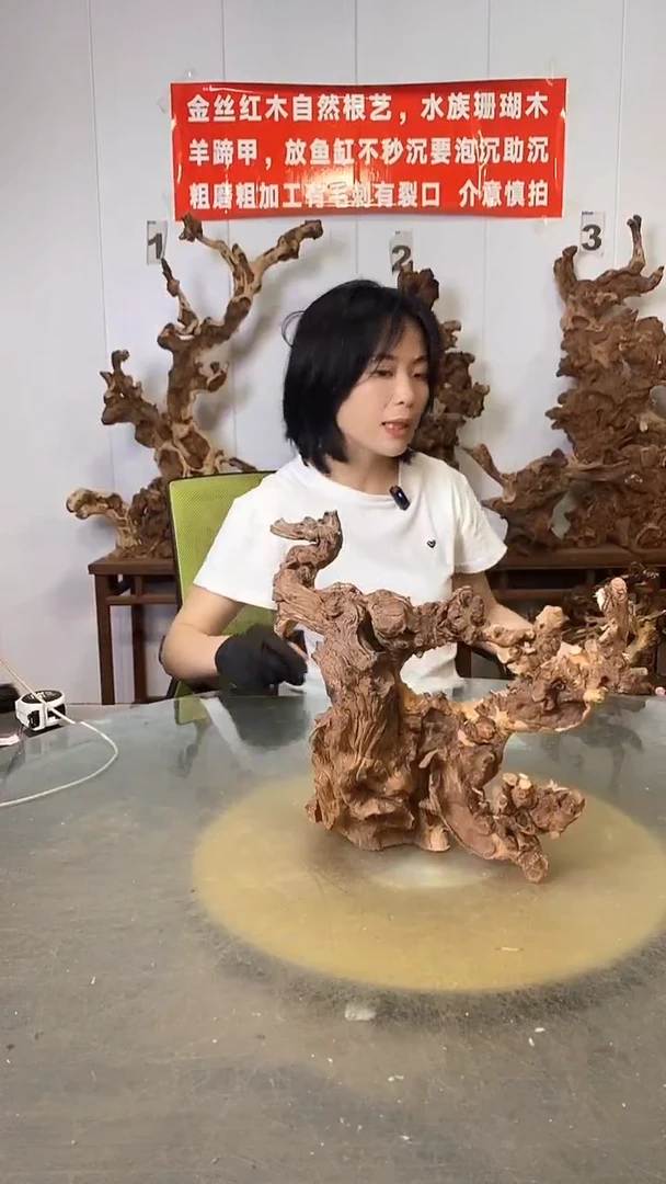 香榧木小*金丝红木 羊蹄甲
