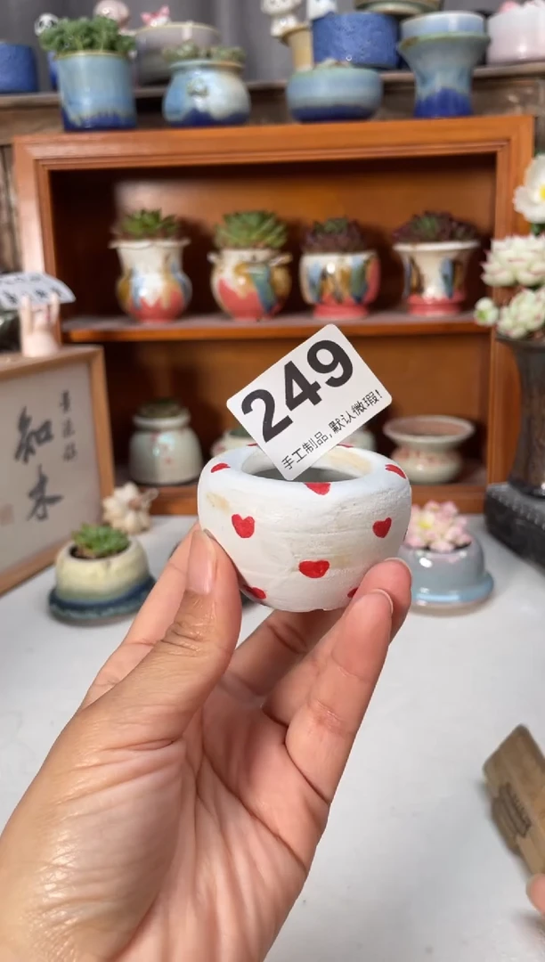 瓷片249小芳直播编号