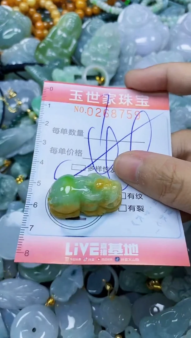 翡翠未镶嵌颈饰闪购0268759多样性发其一