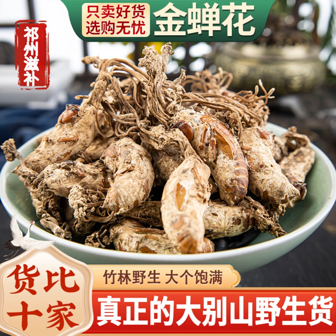 2025年正宗金蝉花知了花精选大别山金蝉花中药材个个带花只只饱满
