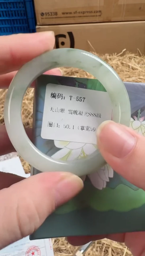 未镶嵌手镯石英质玉T-557
