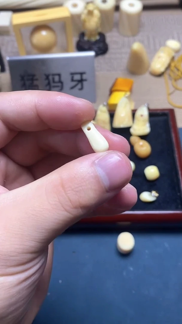贝壳吊坠润 卡子