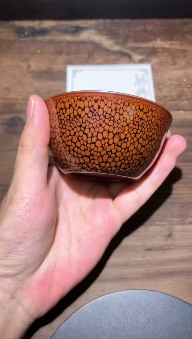 茶盏大鹏亲传弟子何定欣7