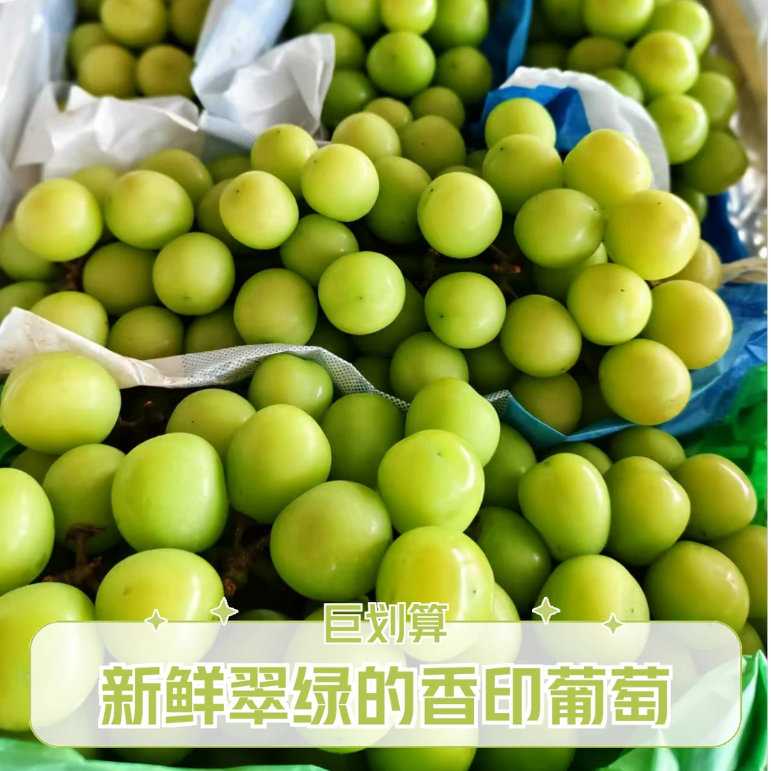 【晴王葡萄】大粒子，脆甜！一份两串装！福利价格14.99元！