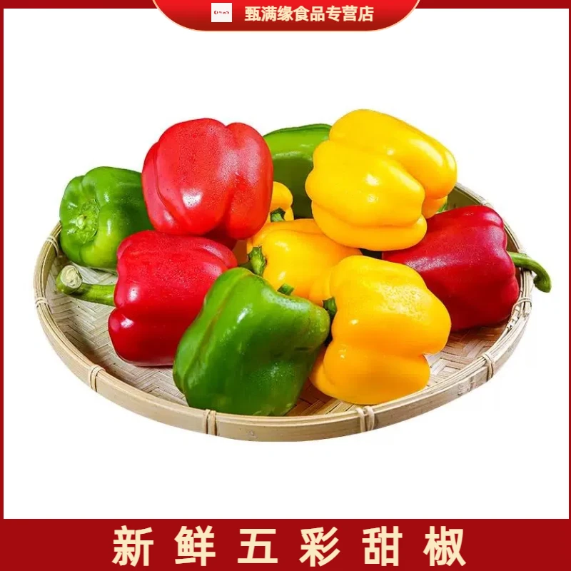【甄满缘】山东新鲜五彩水果椒柿子水果椒甜椒可生吃3-5斤装