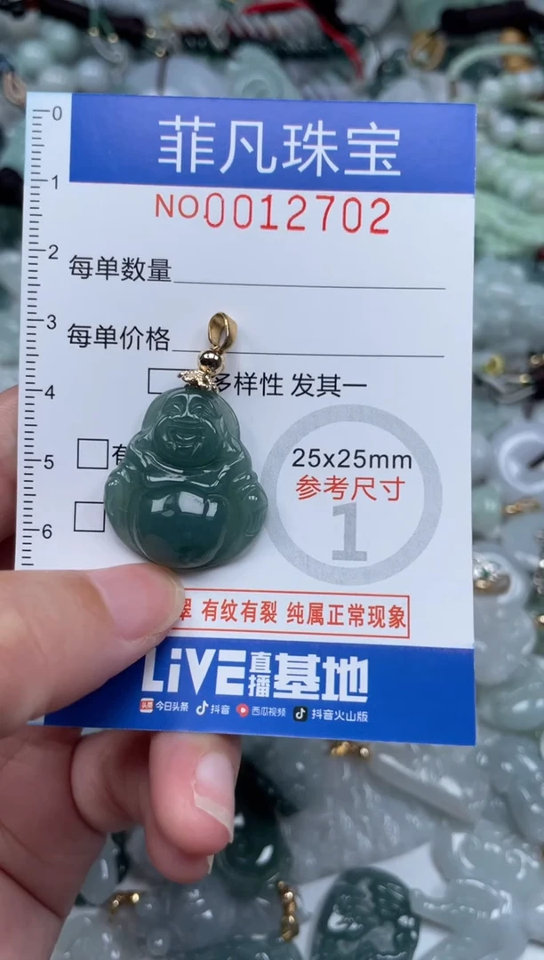 颈饰未镶嵌翡翠12704