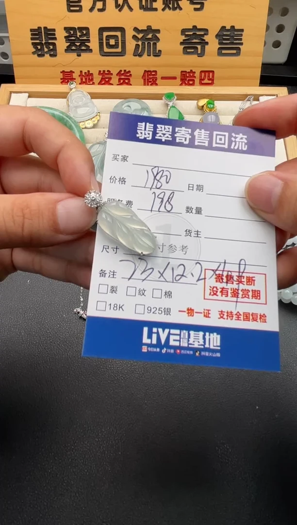 颈饰18K金镶嵌翡翠10146747