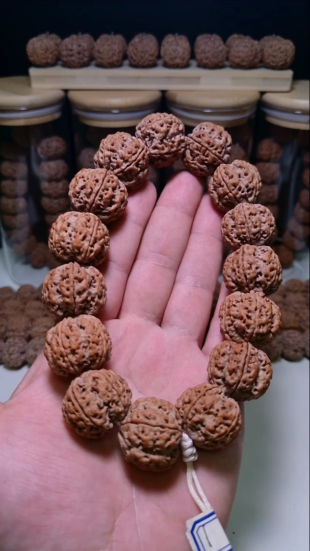 手串金刚菩提徐*08梅花双龙蜂王24