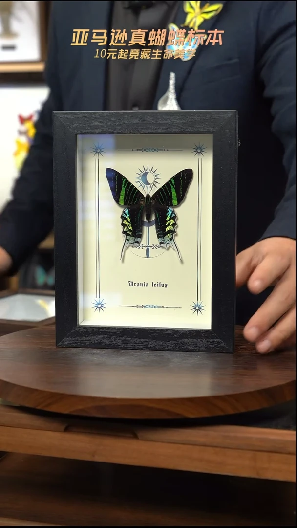 月亮蛾图腾款7寸竖框