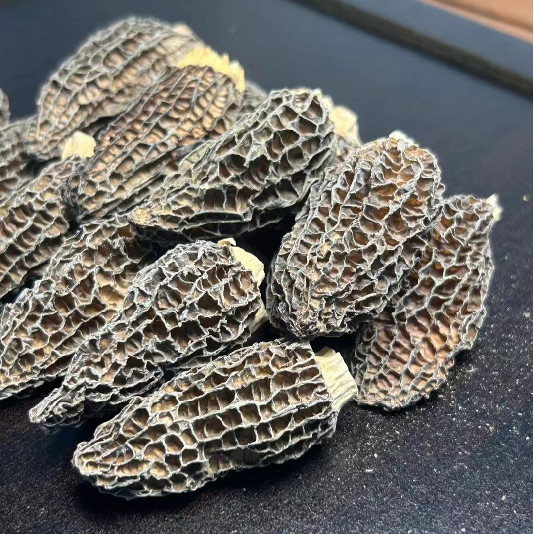 云南高山羊肚菌干货香味足营养丰富适合煲汤炖煮