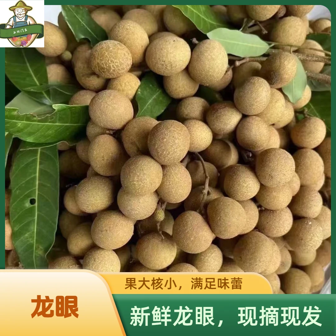 广东高州新鲜现摘石硖龙眼清甜多汁肉厚饱满当季水果