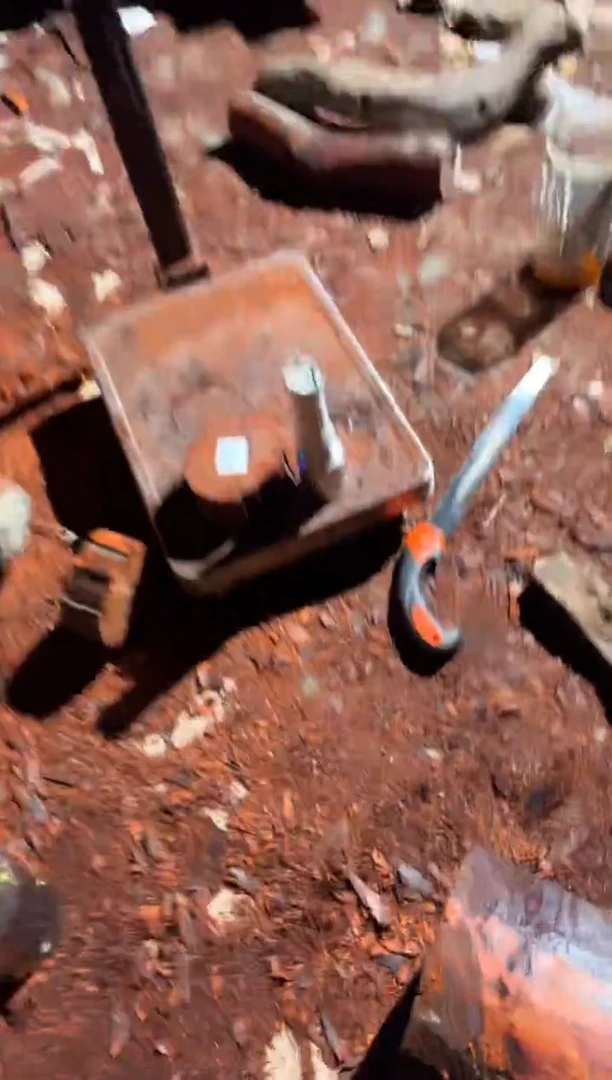 染料紫檀（血檀）2935