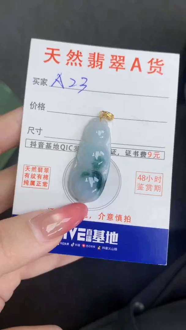 颈饰未镶嵌翡翠天然A货翡翠挂件