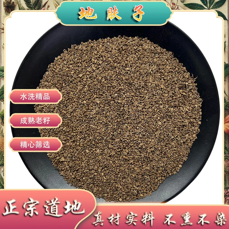 地肤子中药材当季新货 自然晾晒100g起购另有桑白皮五倍子