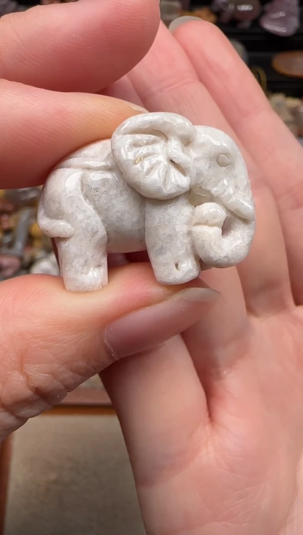 硅化珊瑚（珊瑚玉）未镶嵌颈饰851