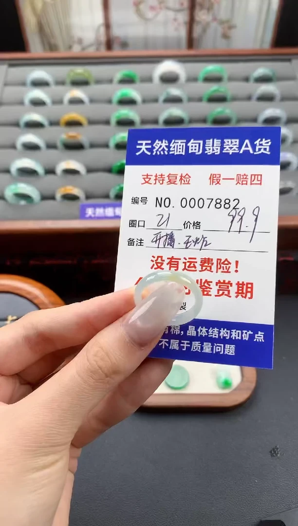 颈饰未镶嵌翡翠圈口21