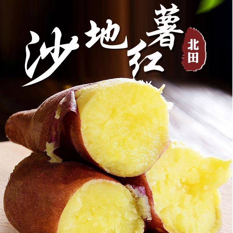 qinshiliu/秦十六 临潼北田板栗红薯粉糯甘甜新鲜现挖5/9斤大果