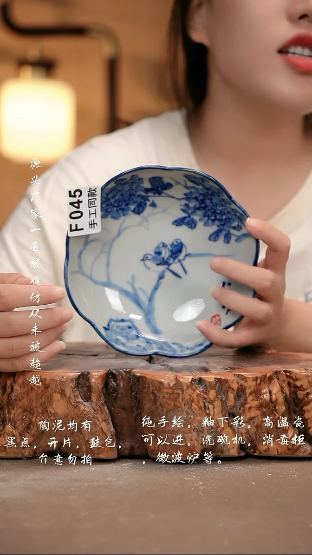 其他F045 新十二器