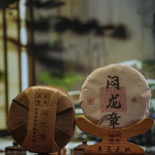 2025年·春 闷龙章古树 云南普洱茶生茶1000克/提