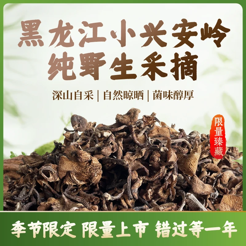 【野生榛蘑】黑龙江小兴安岭野生自然晾晒非烘干小鸡炖蘑菇去根正宗