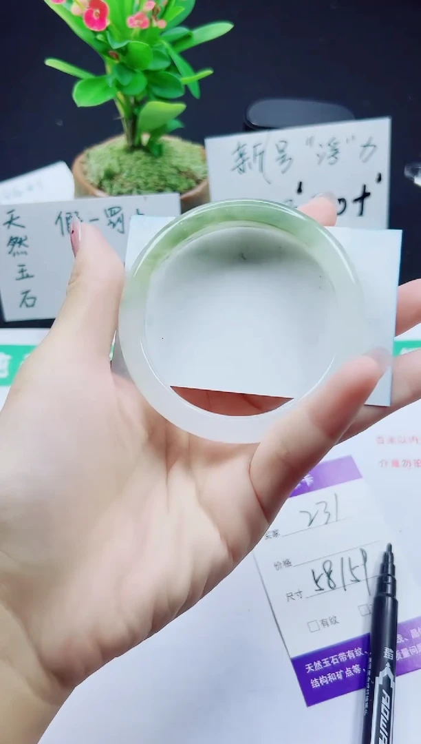 未镶嵌手镯石英质玉231-58/59