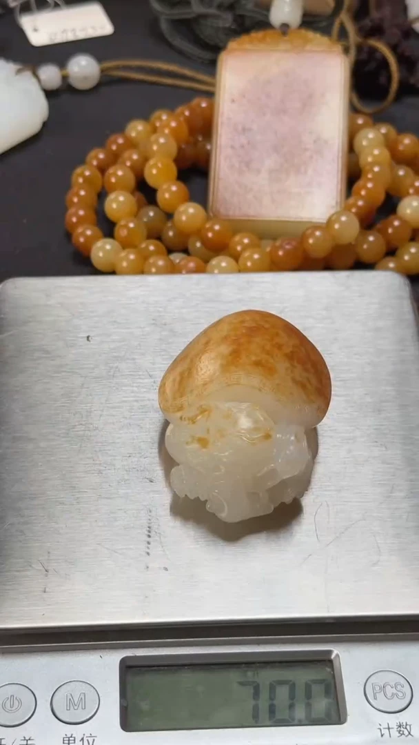 和田玉未镶嵌挂件69.7克龙龟