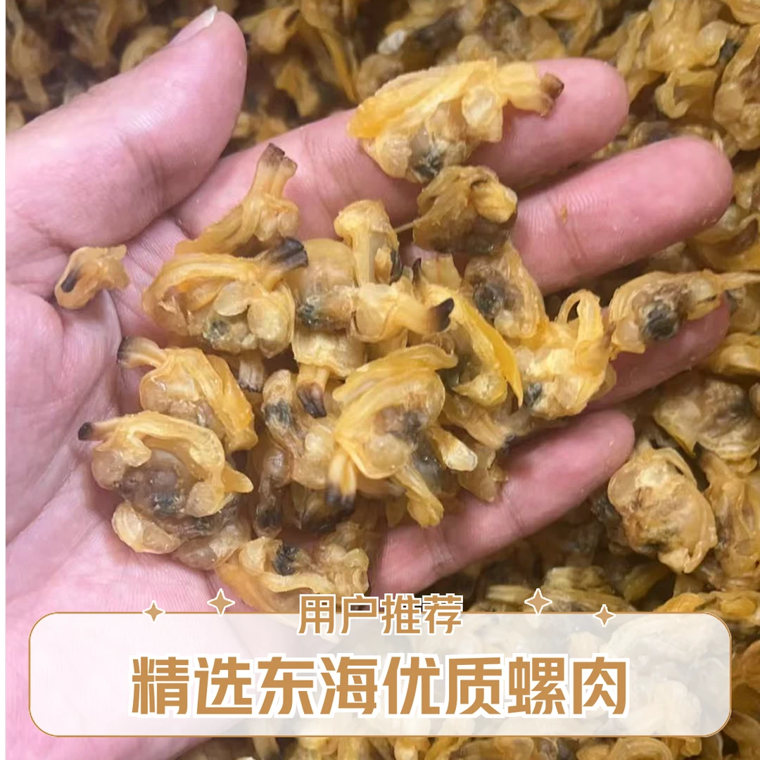 东海特产花甲螺肉干煲汤炒菜