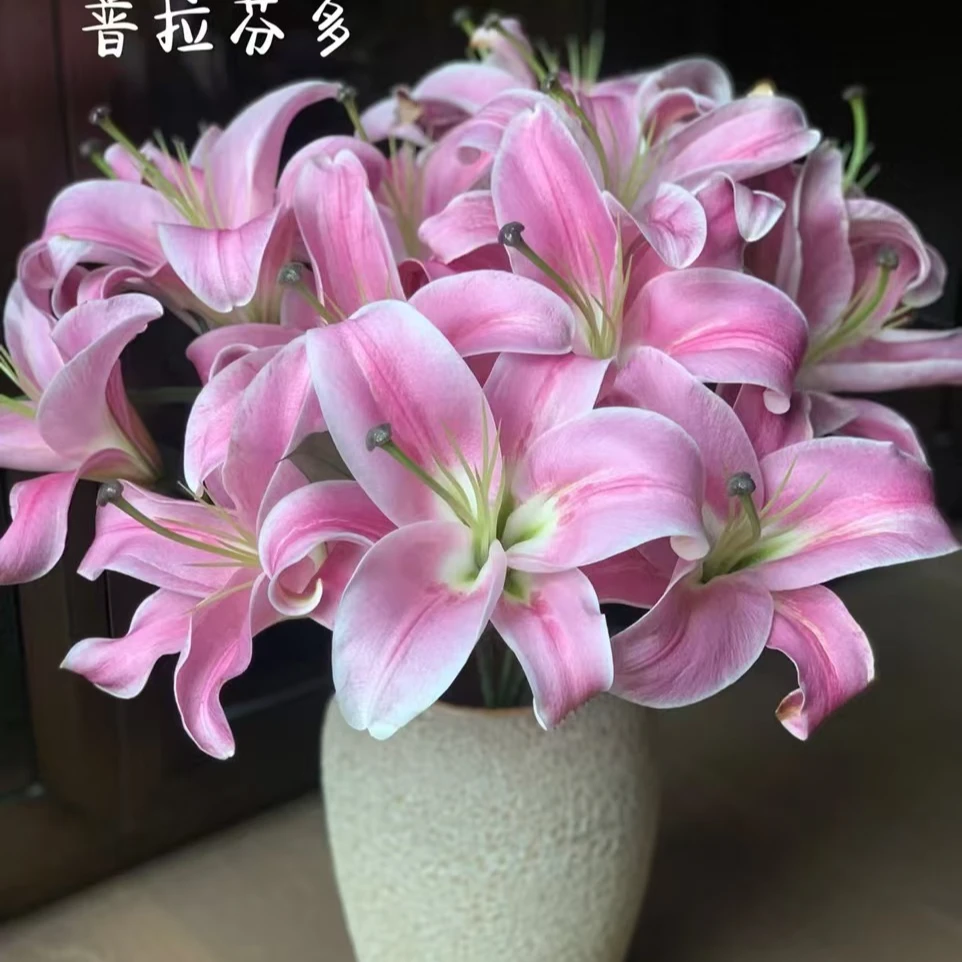 【普拉芬多】粉色高颜值百合【零度以下不拍保温棉不售后】