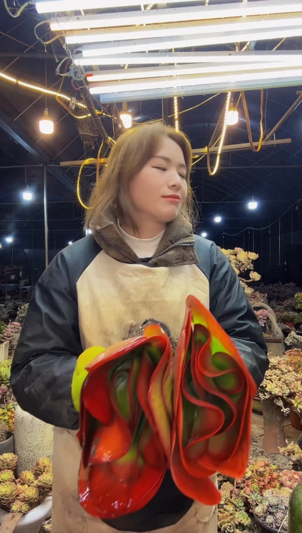 【闪购商品】唐印脱土包邮