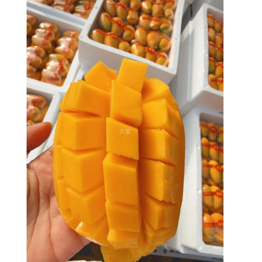 顺丰【大-董】水仙芒果 净重5斤/份