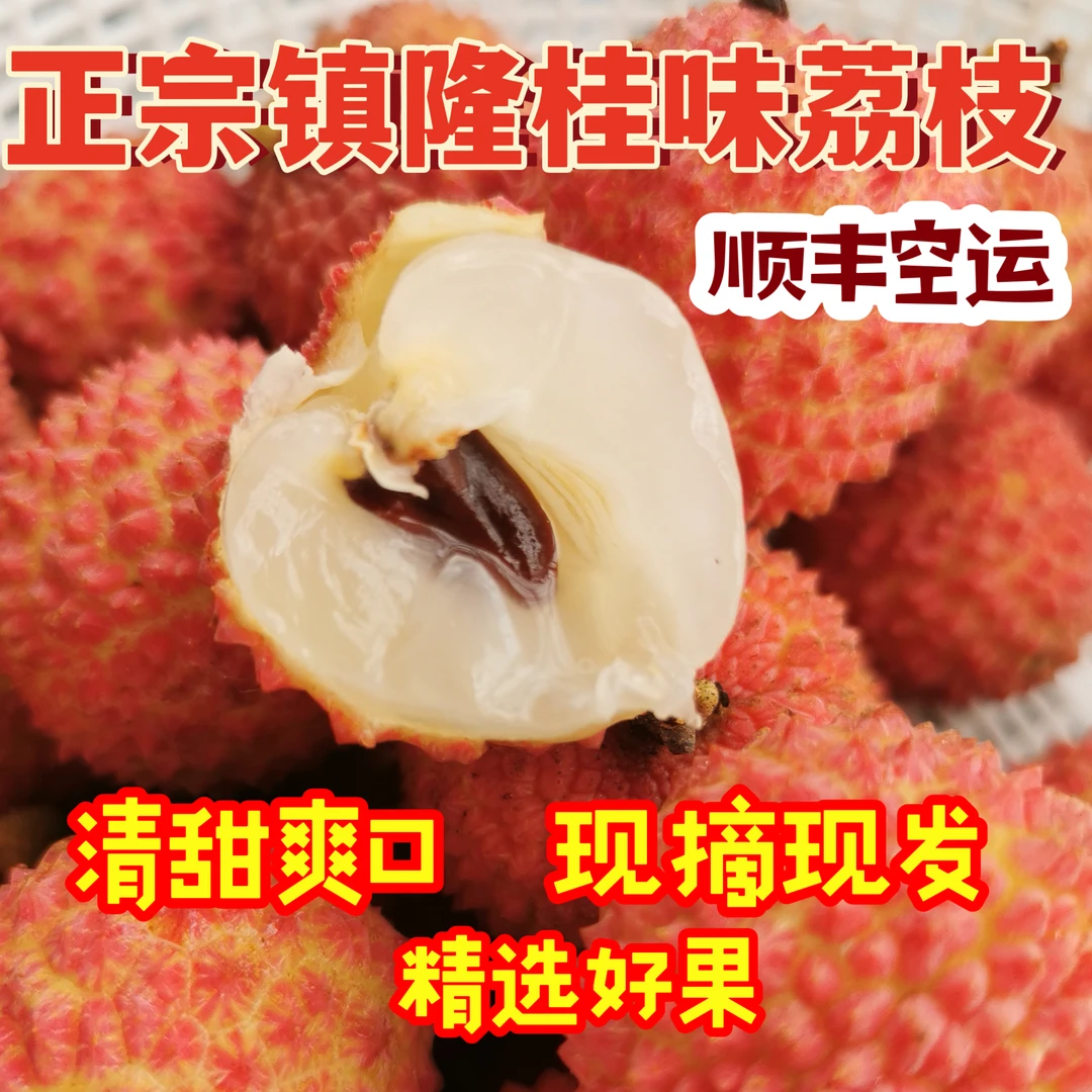 广东镇隆双拼荔枝糯米糍、桂味双拼装现摘现发冷链包邮多汁鲜