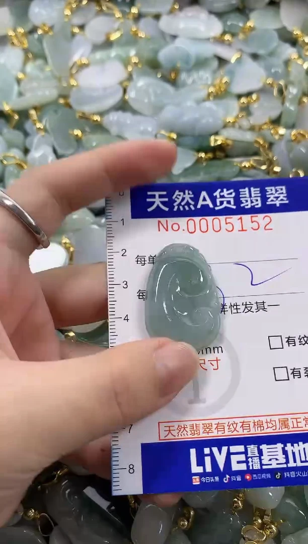颈饰未镶嵌翡翠天然A货翡翠