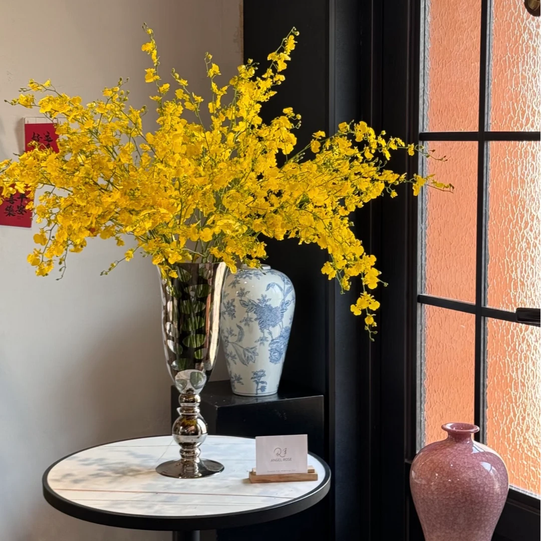 【一品花集】【柠檬黄】跳舞兰