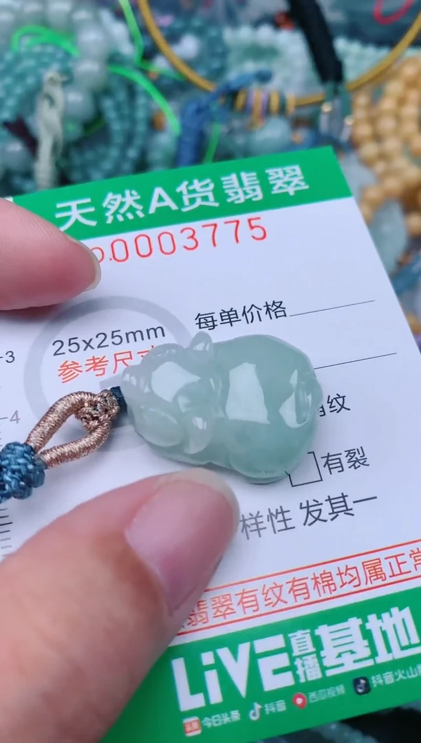 翡翠未镶嵌颈饰.0003775