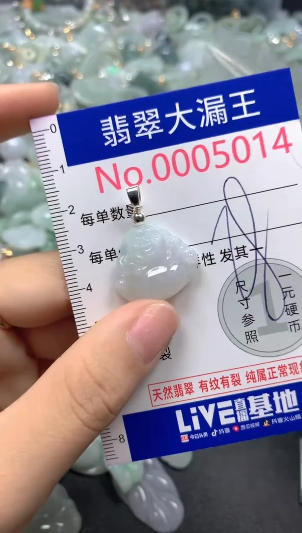 翡翠未镶嵌吊坠(不含链)5014