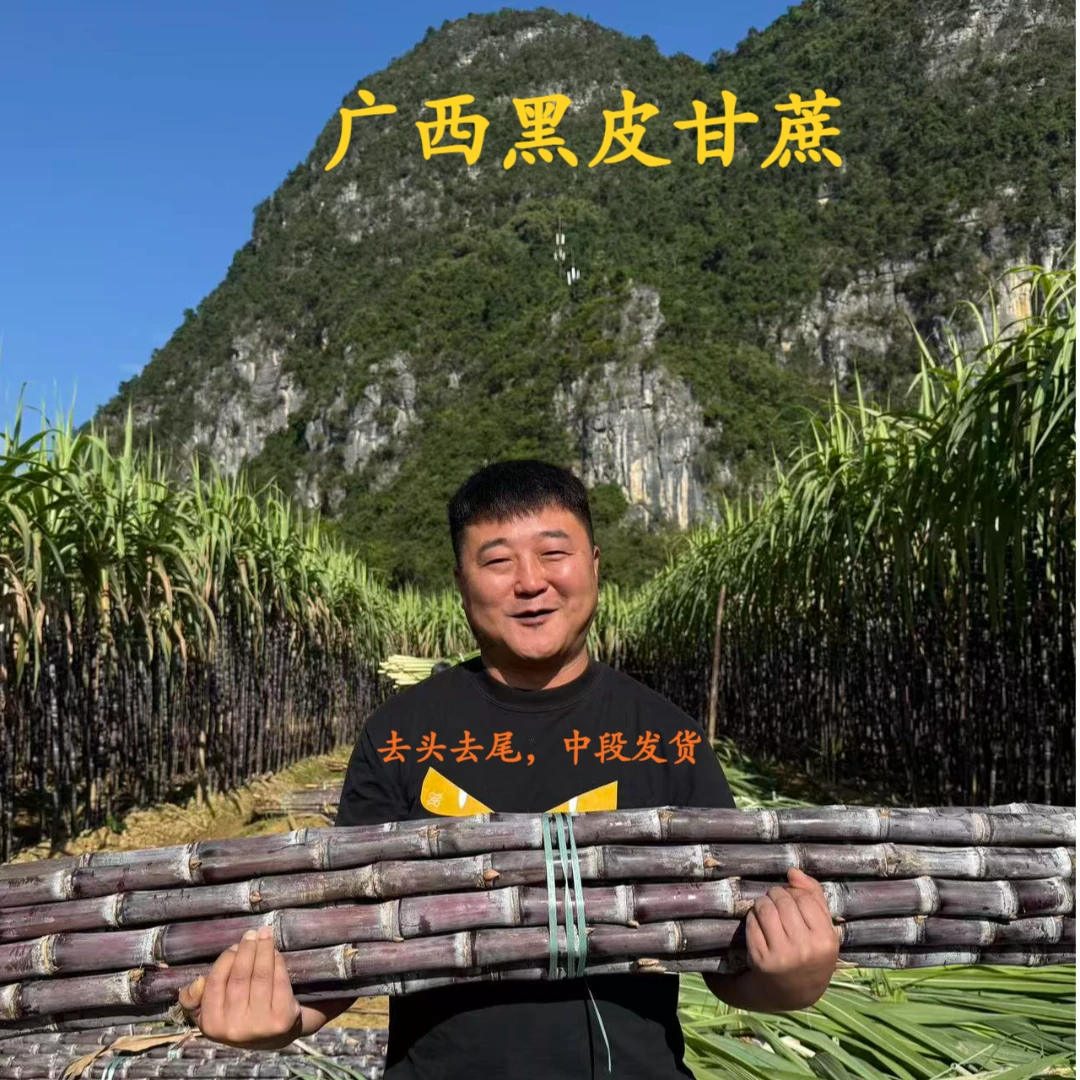 广西黑皮甘蔗  新鲜现砍  应季脆甜多汁  冷藏保存
