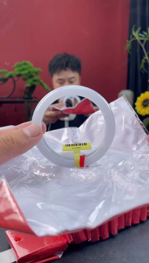 未镶嵌手镯翡翠6